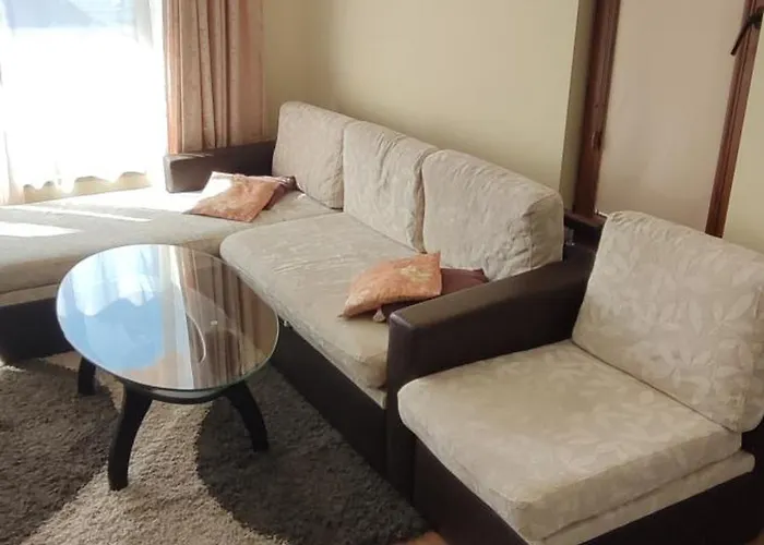 서니 샌즈 스튜디오